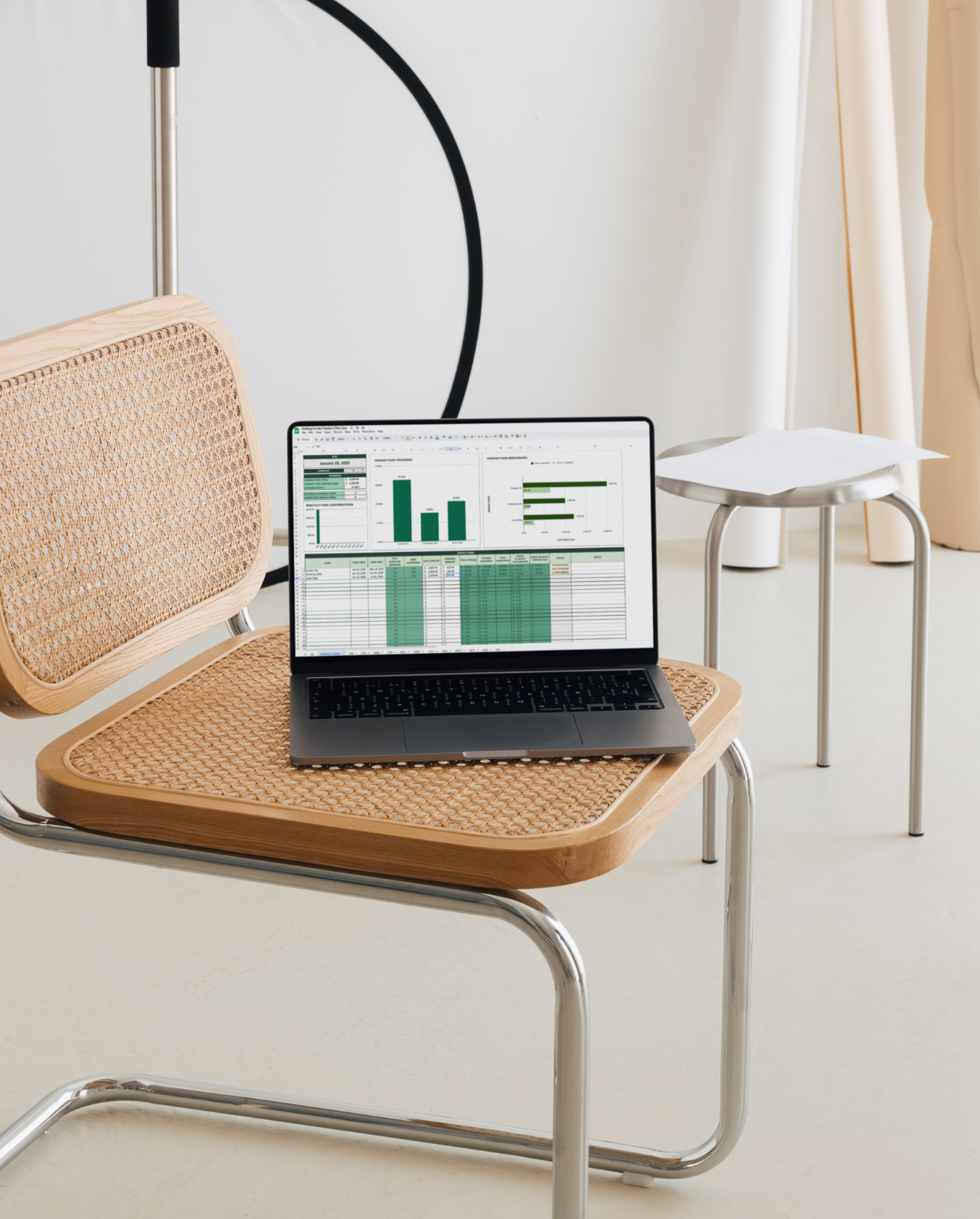 The Sinking Funds Tracker | Instant Download