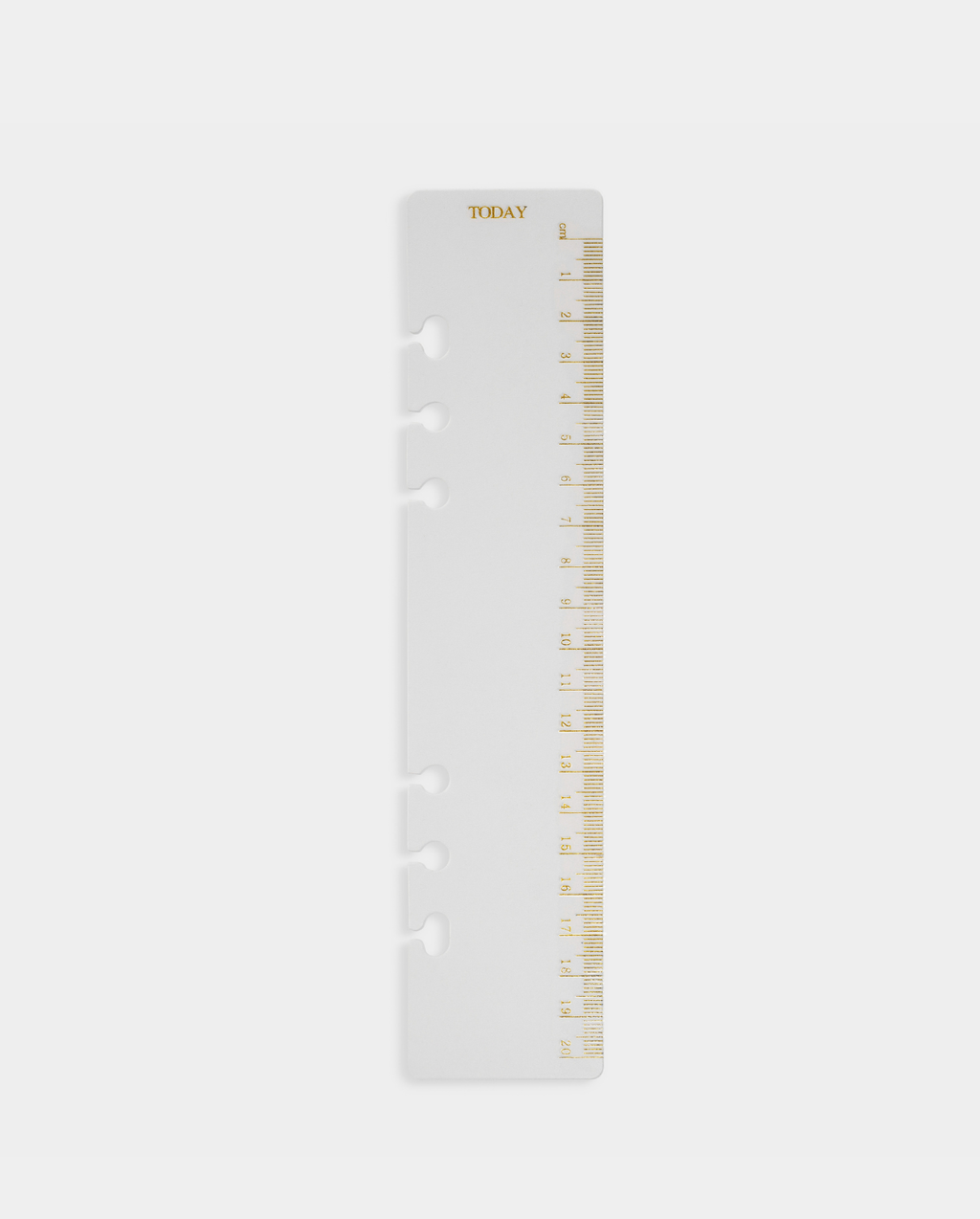 Today Top Tab Planner Divider and Ruler