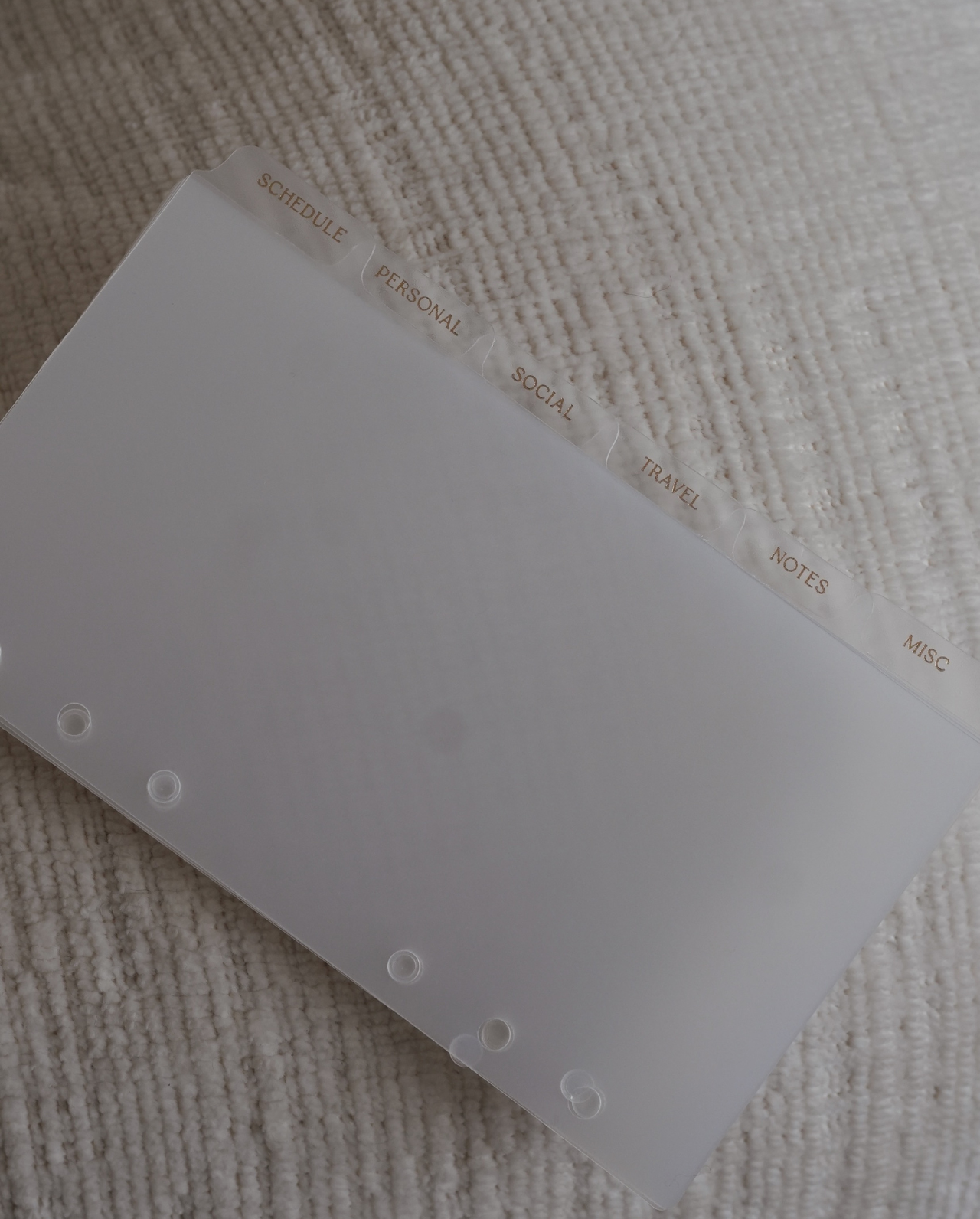 Six Side Tab Planner Dividers | Alyssa Lenore x The Line