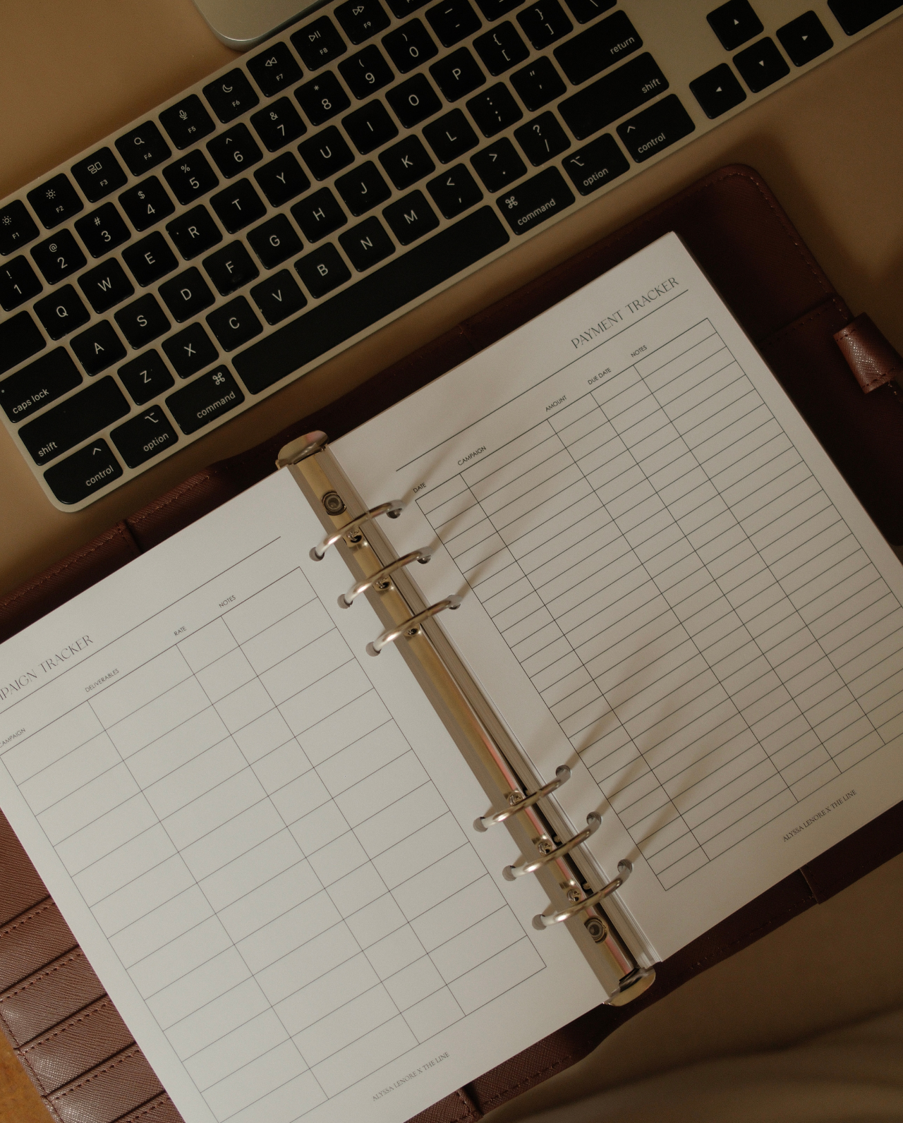 Payment Tracker Planner Inserts | Alyssa Lenore x The Line