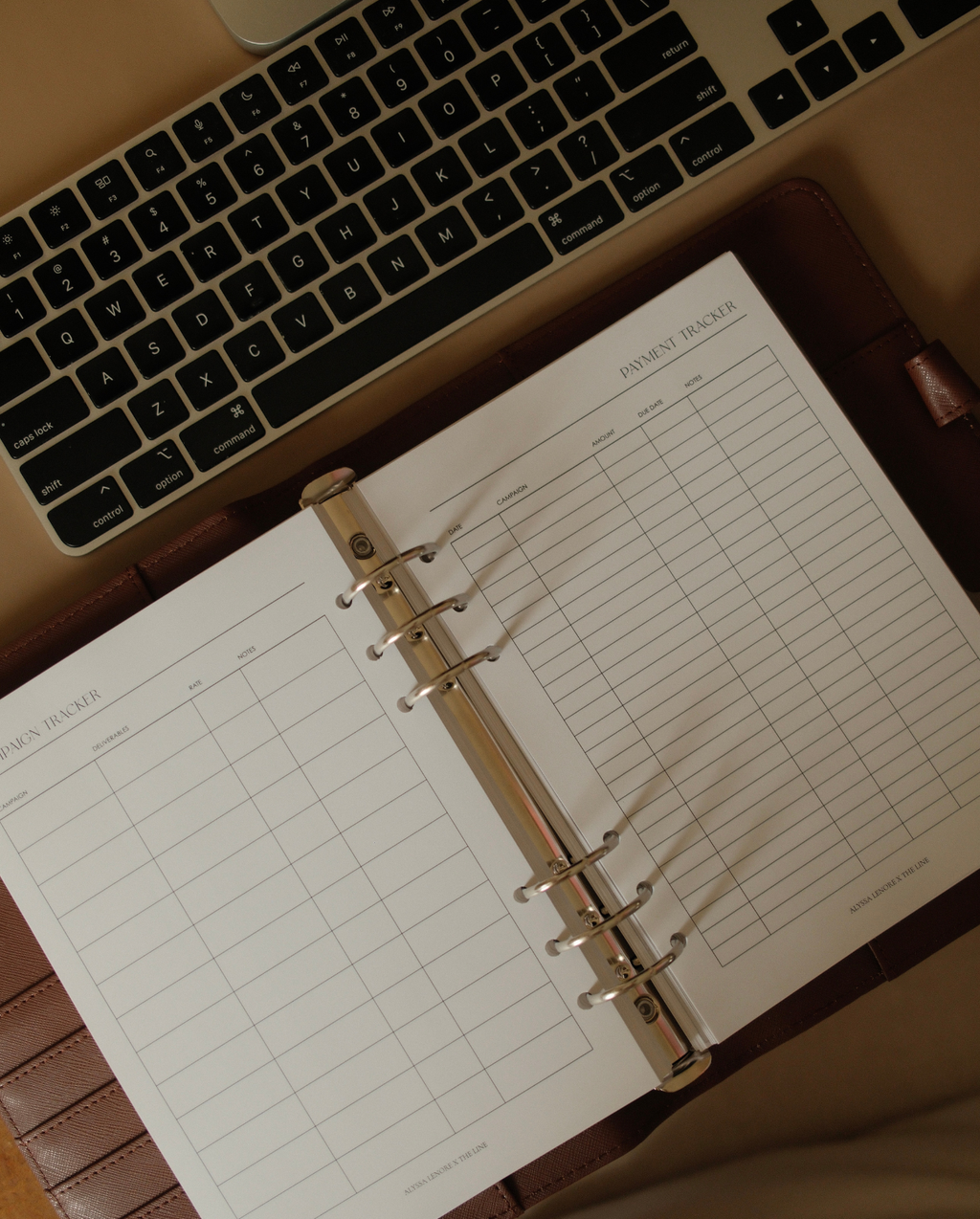 Payment Tracker Planner Inserts | Alyssa Lenore x The Line