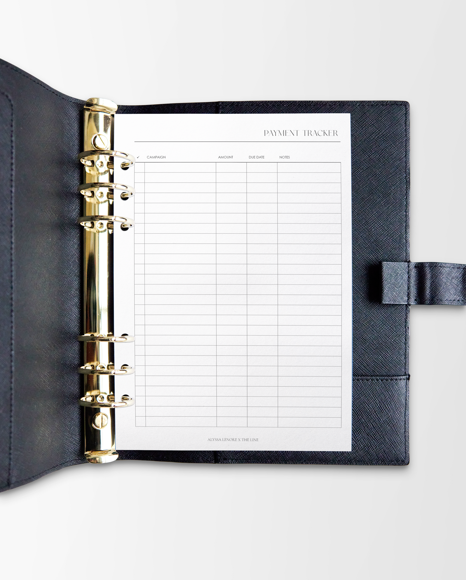 Payment Tracker Planner Inserts | Alyssa Lenore x The Line