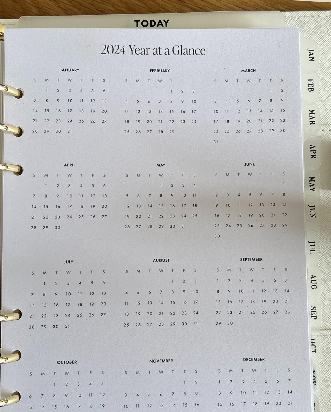 Classic Monthly Side Tab Planner Dividers (Set of 12)