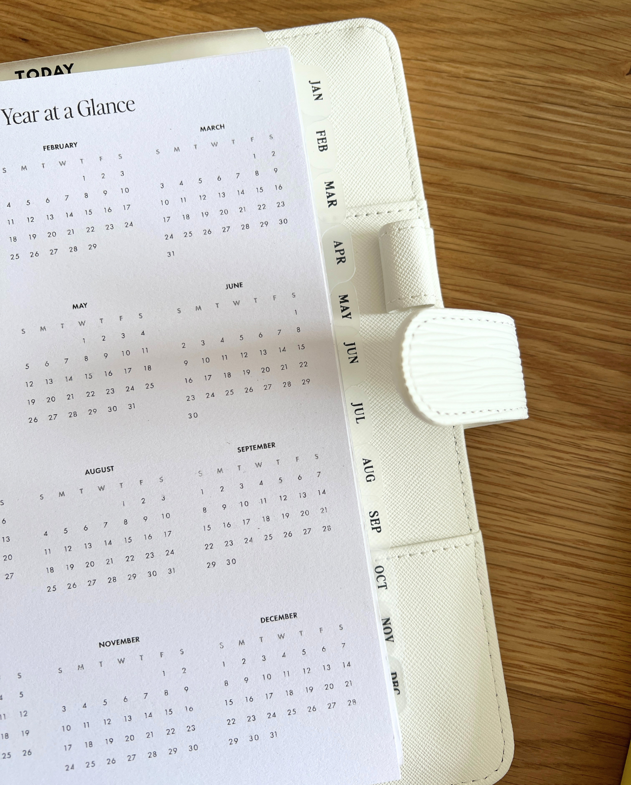 Classic Monthly Side Tab Planner Dividers (Set of 12)