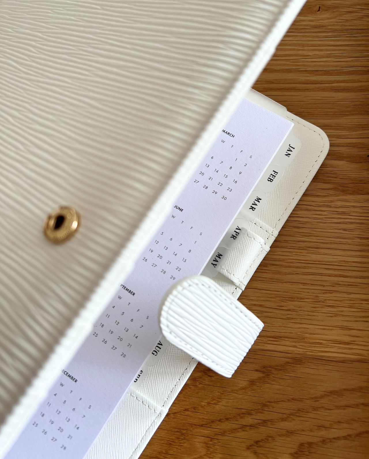 Classic Monthly Side Tab Planner Dividers (Set of 12)