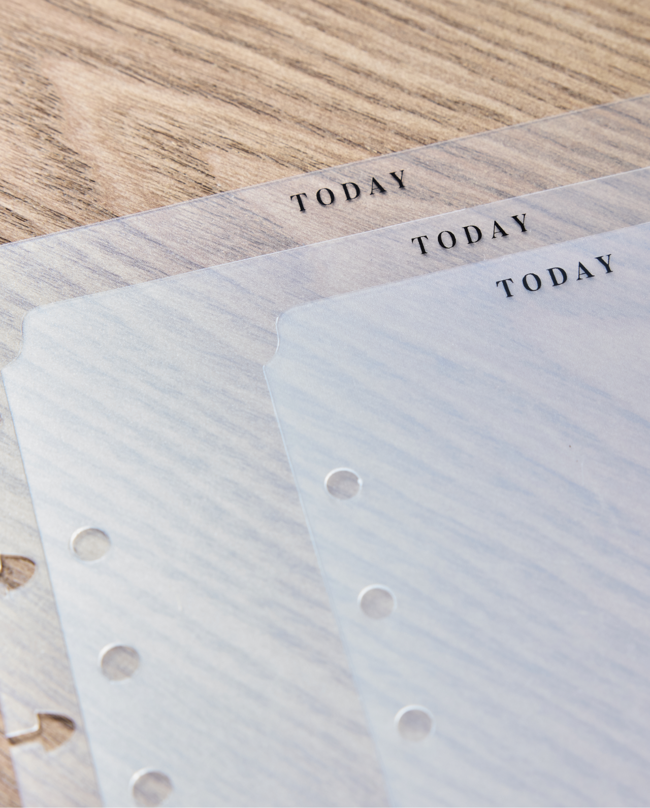 Classic Today Top Tab Planner Divider